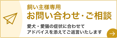 コルディメール相談 飼い主様専用お問い合わせ・ご相談