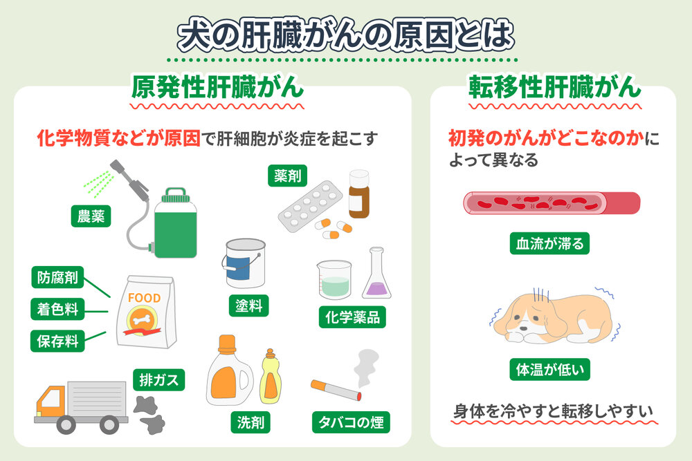 肝臓がんの原因