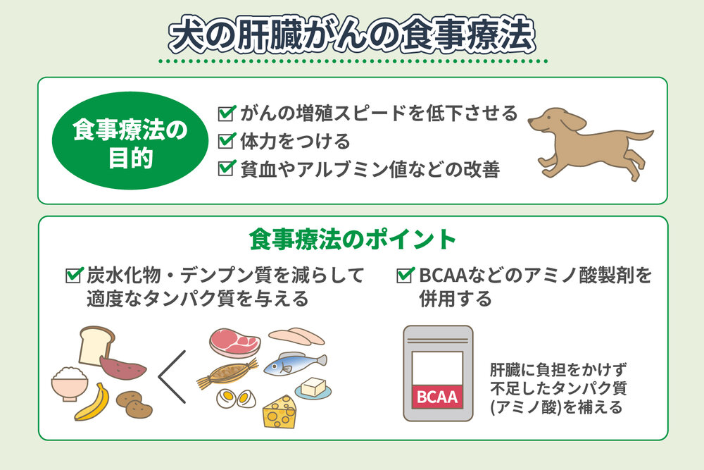 肝臓がんのご愛犬の食事療法