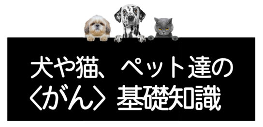 犬猫のがん基礎知識