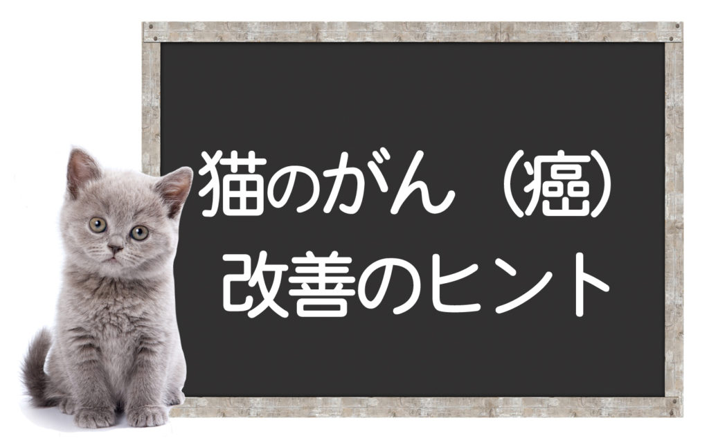 猫の癌の症状とは？治療方法や手術など改善のヒント＜コルディ研究室＞