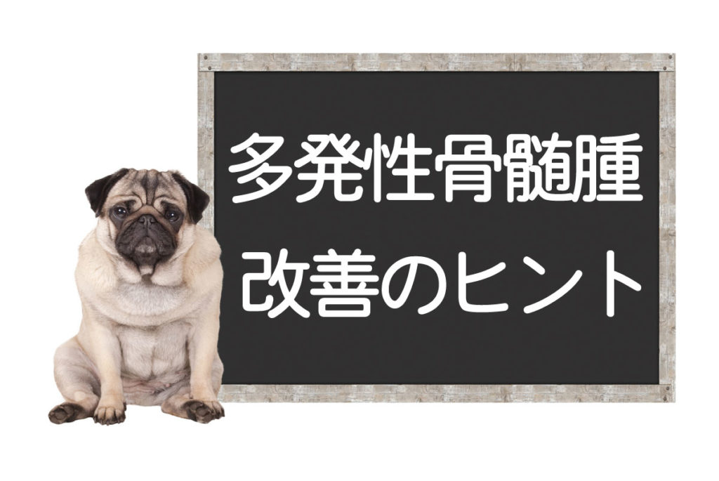 犬の多発性骨髄腫 症状や診断法 抗癌剤などの治療法 改善 克服のヒント コルディ研究室