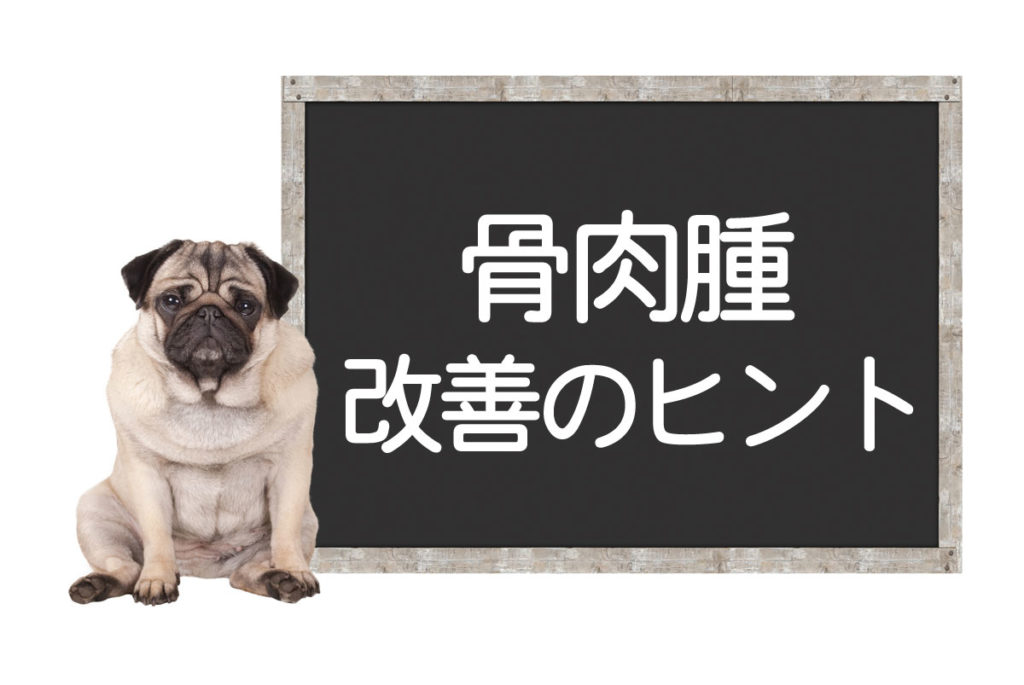 犬の骨肉腫 悪性腫瘍の原因や症状 手術や抗癌剤 改善 完治のヒント コルディ研究室