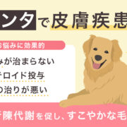 プラセンタは犬猫の皮膚疾患・アレルギー・毛ヅヤを改善する