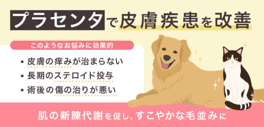 プラセンタは犬猫の皮膚疾患・アレルギー・毛ヅヤを改善する