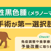 犬や猫に発生する悪性黒色腫とは？