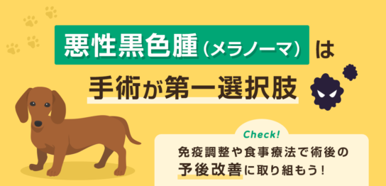 犬や猫に発生する悪性黒色腫とは？