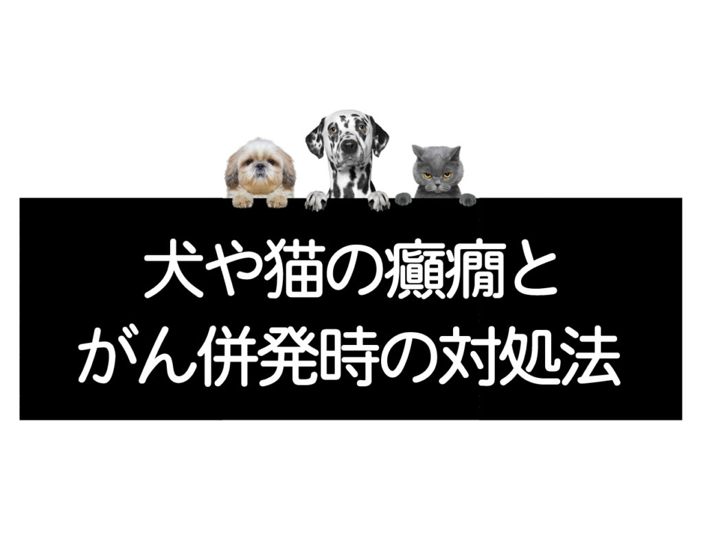 悪性腫瘍（がん）とてんかん発作併発時の対処法＜コルディ研究室への 
