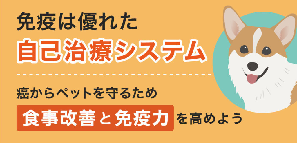 がん幹細胞を抑えて、犬や猫、ペットの癌を克服する＜コルディ