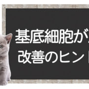 猫の基底細胞癌の克服方法