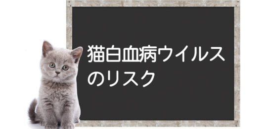   FIP FeLV         