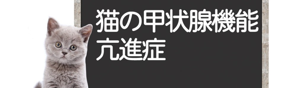 猫の甲状腺機能亢進症の原因、症状、診断、改善方法＜コルディ研究室＞