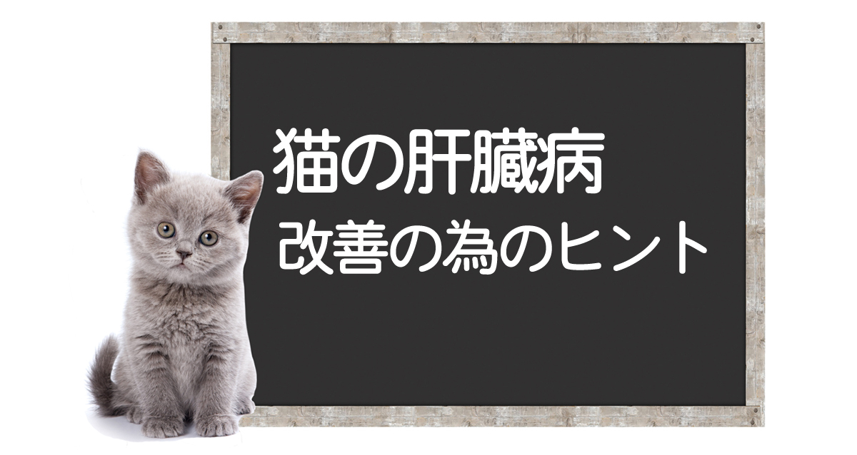 猫の肝臓病】10の症状と原因・治療法ー愛猫を守りたい＜コルディ研究室＞