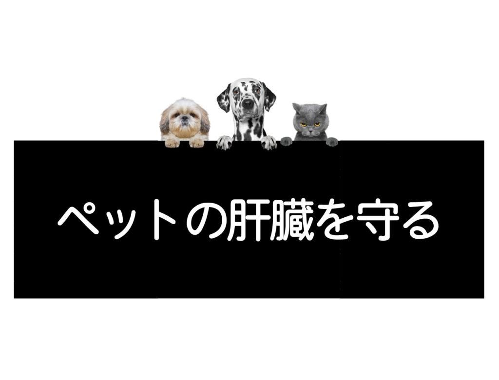 犬 猫 ペットの肝機能悪化の予防法 コルディ研究室