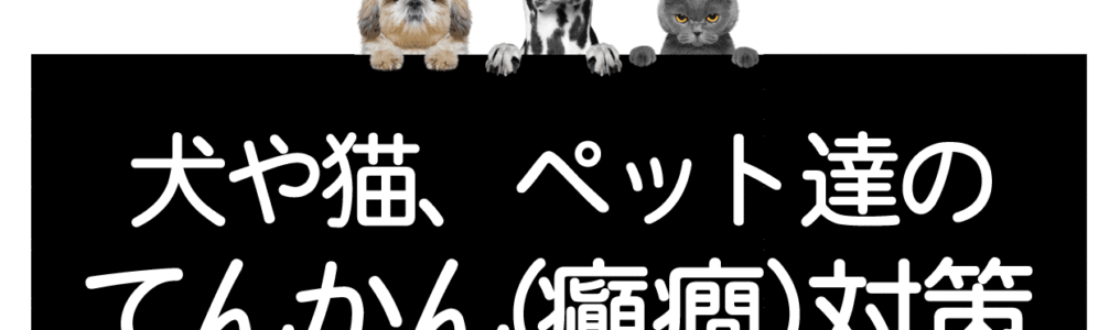 犬や猫のてんかん 癲癇 について コルディ研究室