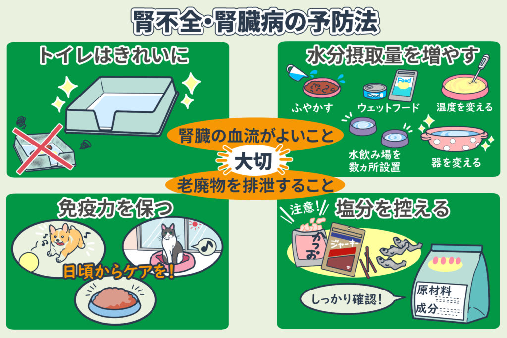 腎不全の原因は何ですか?