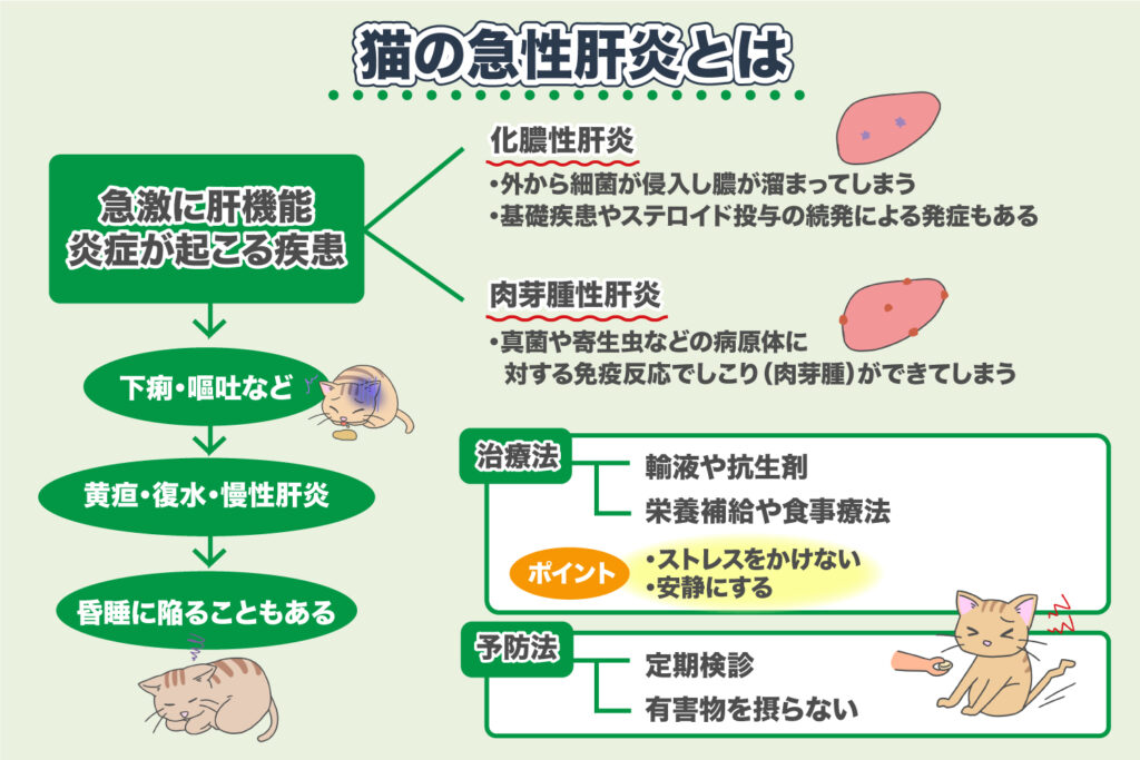 猫 肝臓 の 数値 が 高い 原因