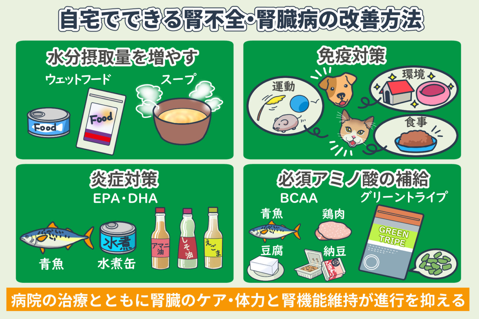 腎臓が機能不全になった場合、透析は役に立ちますか?