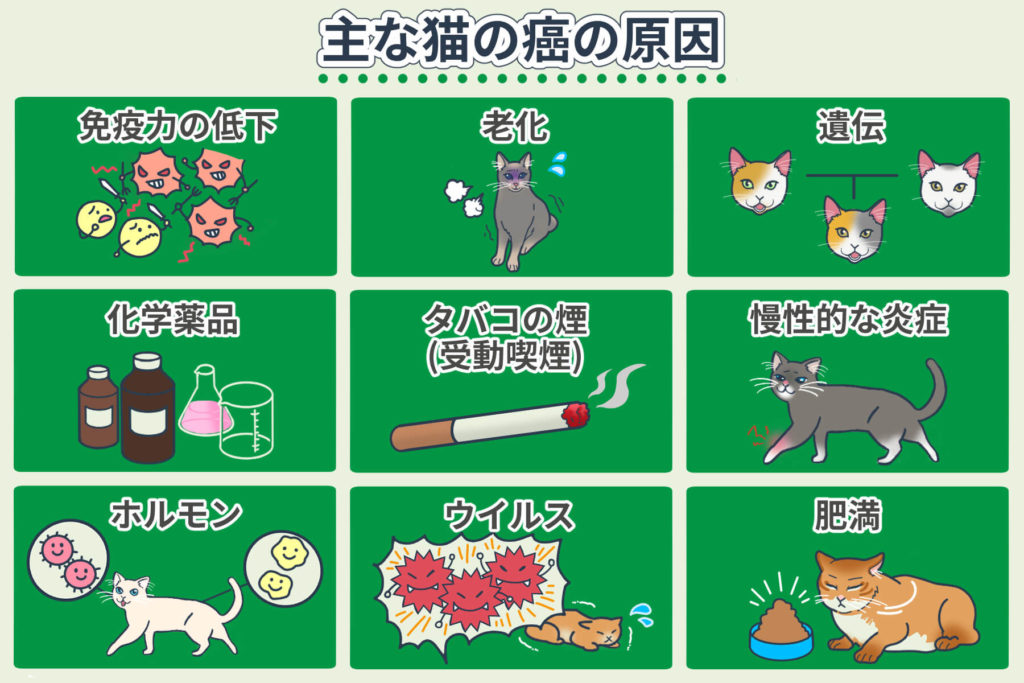 高齢猫の 里親 になりたいという家族が見つかるも 原因不明の口内炎で保留 腫瘍でありませんように まいどなニュース Yahoo ニュース