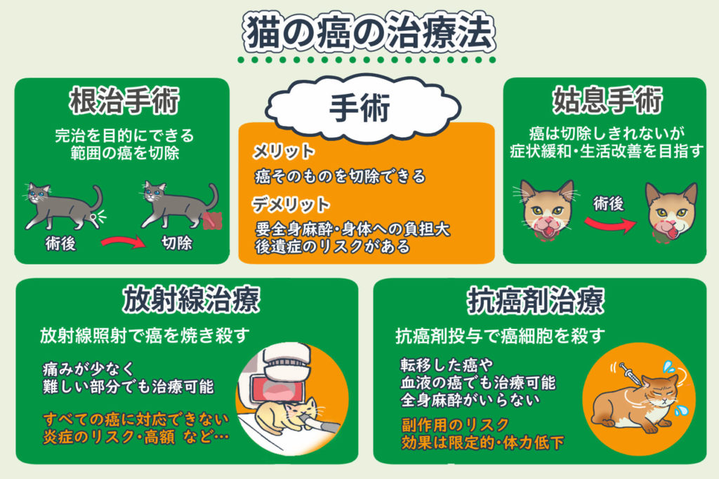 猫の癌 腫瘍 癌の症状 検査 手術 治療 食事 癌改善のヒント コルディ研究室