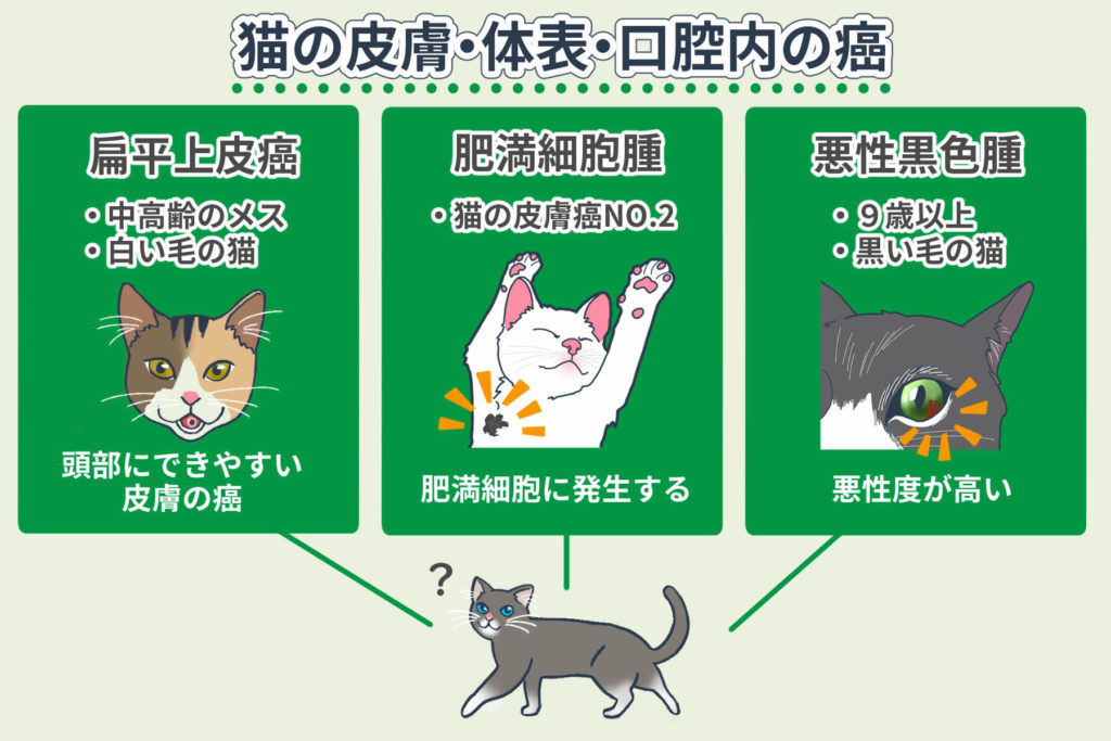 猫の皮膚・体表・口腔内の癌