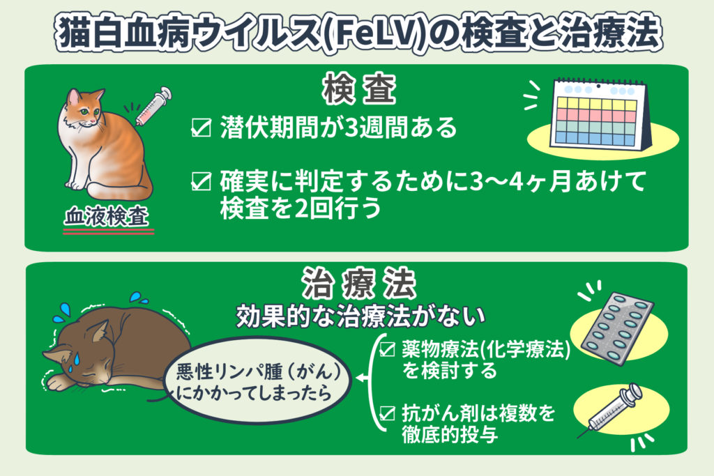 猫白血病ウイルス感染症-FeLVはリンパ腫の発生に注意＜コルディ研究室＞