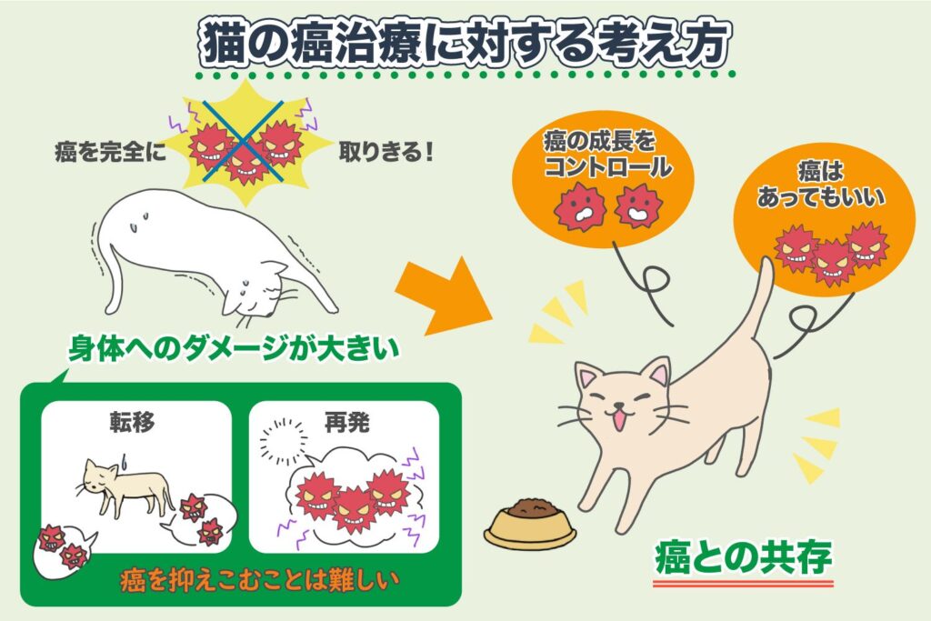 猫の癌の症状とは？治療方法や手術など改善のヒント＜コルディ研究室＞