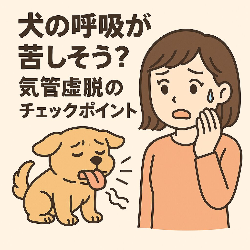 犬の呼吸が苦しそう？気管虚脱のチェックポイント