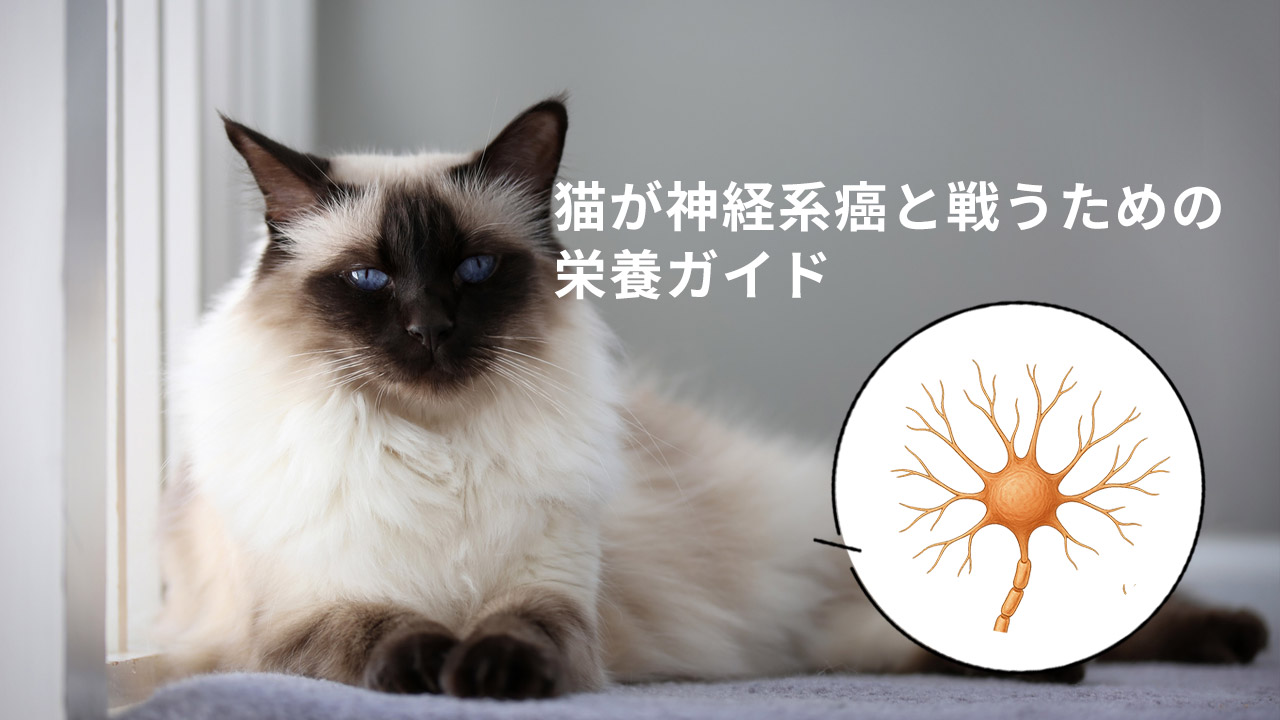猫の神経系癌と戦うための栄養ガイド