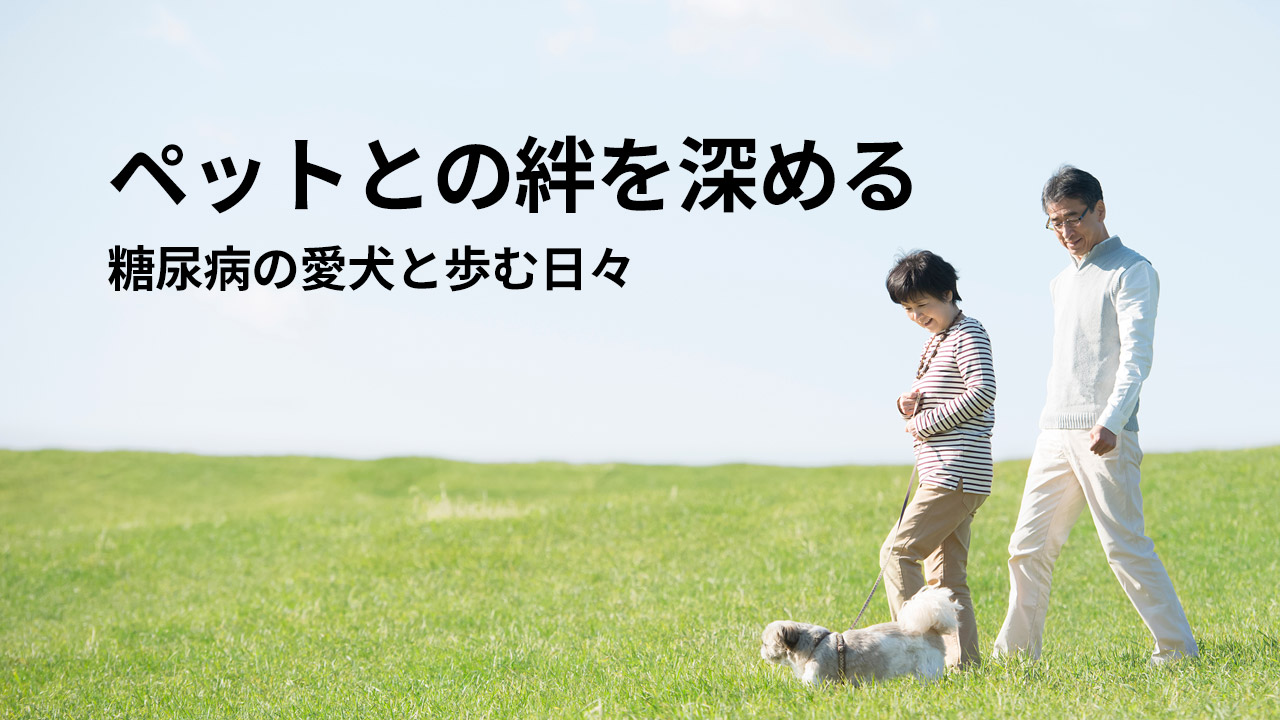 ペットとの絆を深める:糖尿病の愛犬と歩む日々