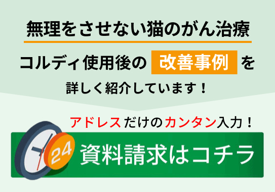 無理をさせない猫のがん治療
