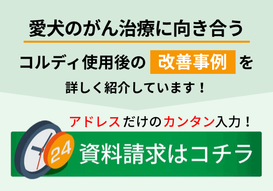 愛犬のがん治療に向き合う