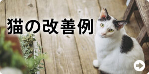 猫の改善例